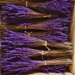 Caja de 10 ramos de lavanda preservada