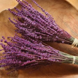 Lavanda malva seca