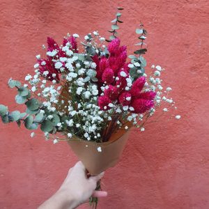 Bouquet phalaris rosa