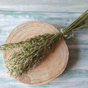 Ramo de avena natural