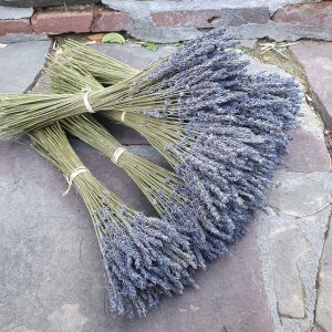 Ramo de lavanda super blue