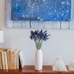 Phalaris azul lavanda