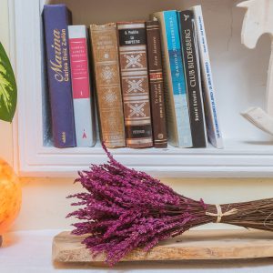 Lavanda preservada malva